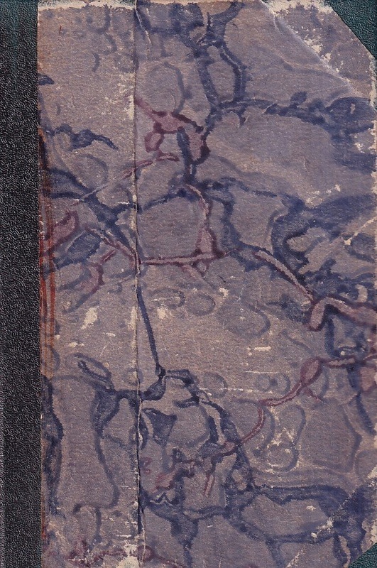 Miłość, pasja i sława : powieść o Paganinim