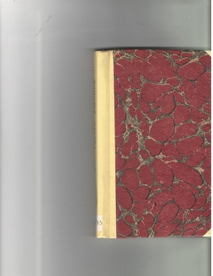 Teraz zawsze nigdy : powieść