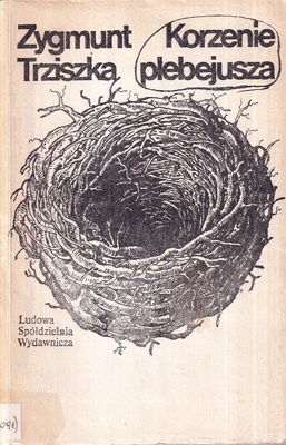 Korzenie plebejusza