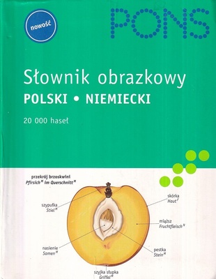 Słownik obrazkowy polski - niemiecki : 20 000 haseł