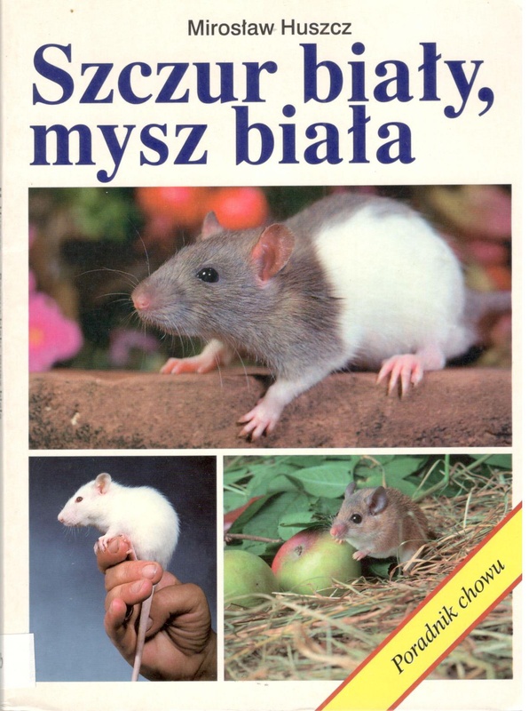 Szczur biały, mysz biała