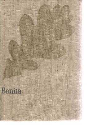 Banita : czasy Stefana Batorego