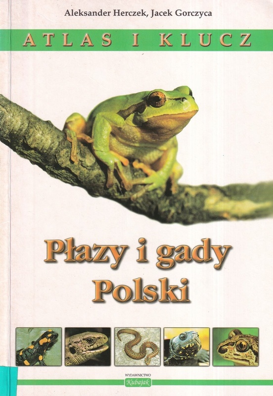 Płazy i gady Polski : atlas i klucz