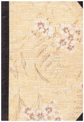 Ślady wśród lodów