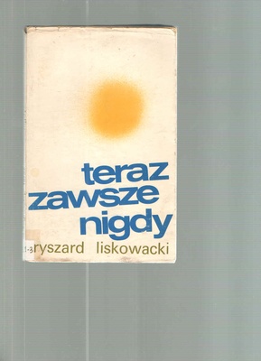 Teraz zawsze nigdy : powieść