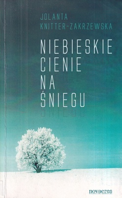 Niebieskie cienie na śniegu