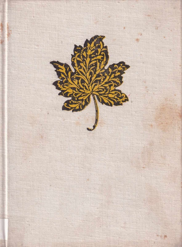 Cudna mieszczka : obrazek warszawski z wieky XVII