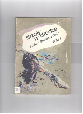 Strzały w drodze.. T. 1