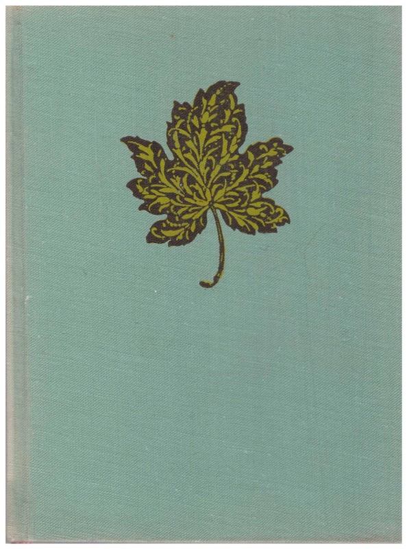 Rok 1809 : powieść z epoki napoleońskiej w opracowaniu dla młodzieży dokonanym przez autora