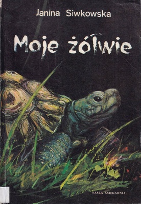 Moje żółwie