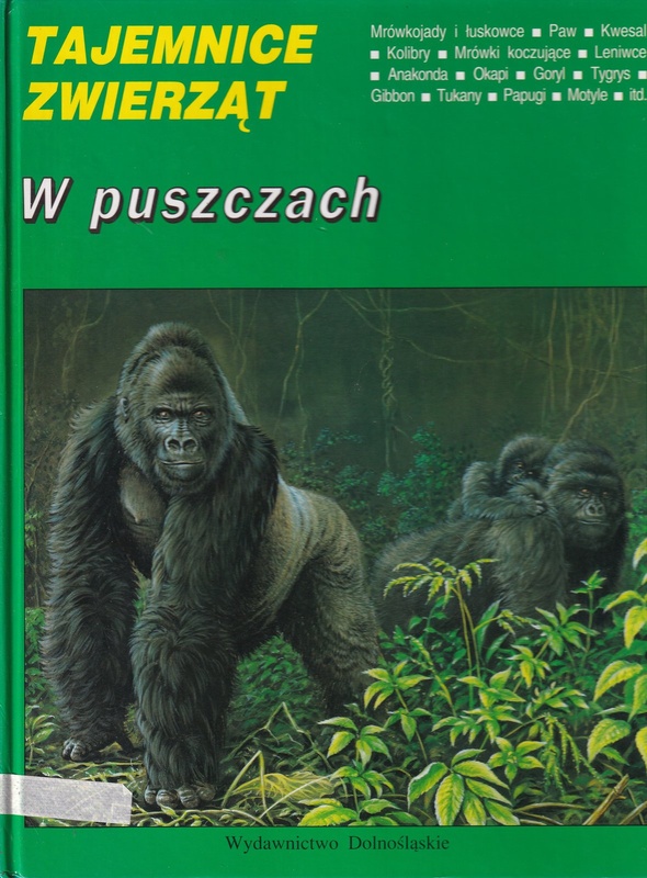 W puszczach