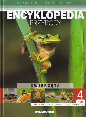 Zwierzęta : gady i płazy - węże, jaszczurki, żółwie, traszki i żaby