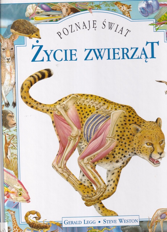 Życie zwierząt