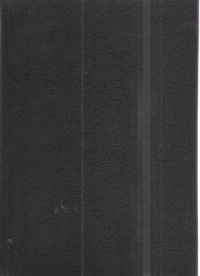 Słownik historii XX wieku