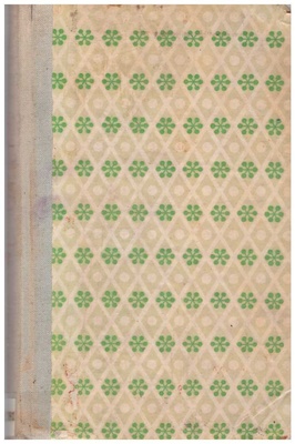 W cieniu marszałka Piłsudskiego : szkice z dziejów myśli politycznej II Rzeczypospolitej