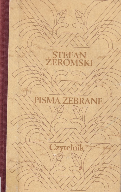 Pisma Zebrane.. [T.] 10, Popioły : powieść z końca XVIII i początku XIX w.