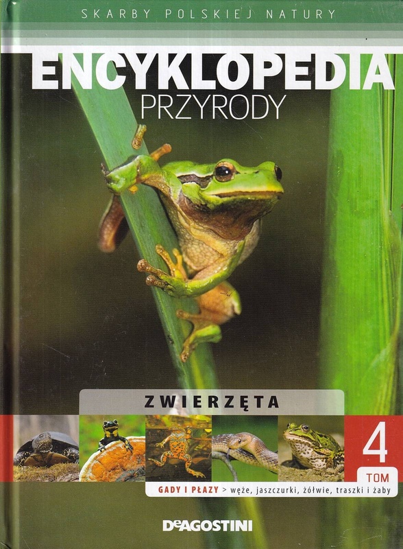 Zwierzęta : gady i płazy - węże, jaszczurki, żółwie, traszki i żaby