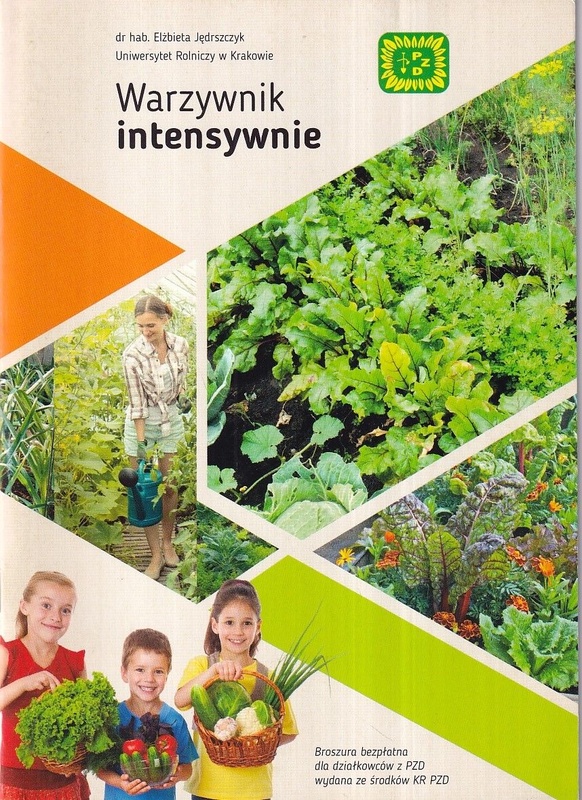 Warzywnik intensywnie