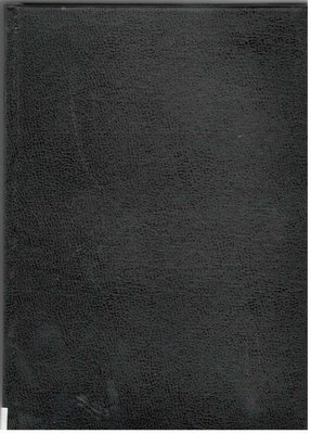 Słownik historii XX wieku