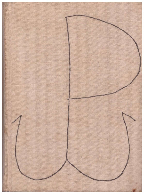 Zośka i Parasol : opowieść o niektórych ludziach i niektórych akcjach dwóch batalionów harcerskich