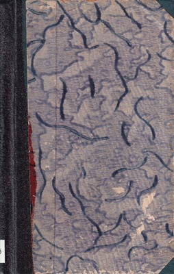 Rajtar szwedzkiego króla