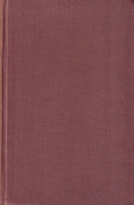 Dzieci kapitana Granta. T. 2