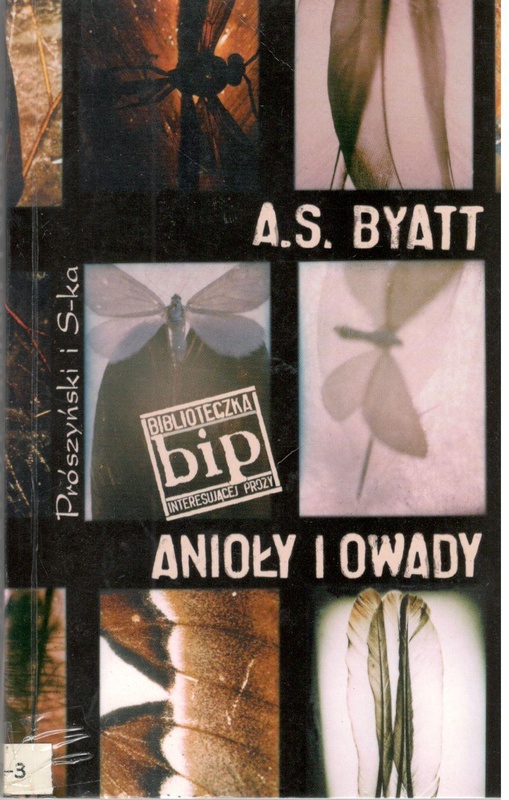 Anioły i owady