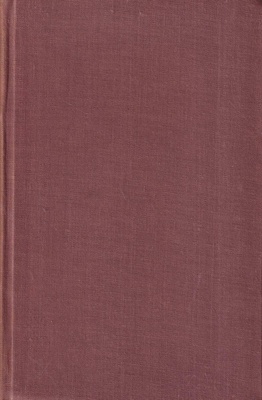 Dzieci kapitana Granta. T. 2