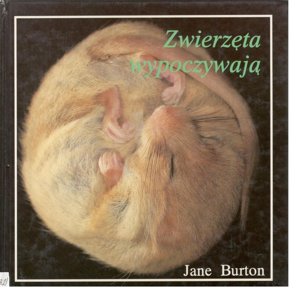 Zwierzęta wypoczywają