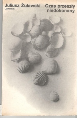 Czas przeszły niedokonany : opowiadania
