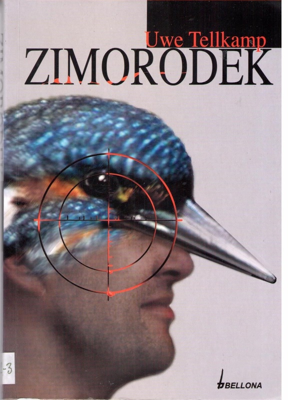 Zimorodek