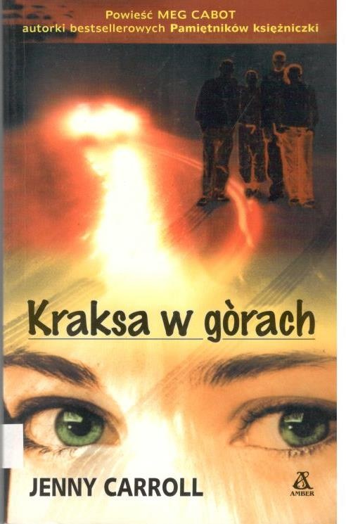 Kraksa w górach