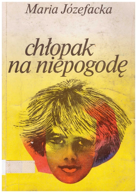 Chłopak na niepogodę : powieść dla młodzieży